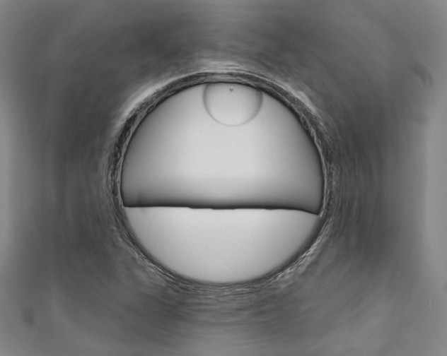 X0000111641311200907171030