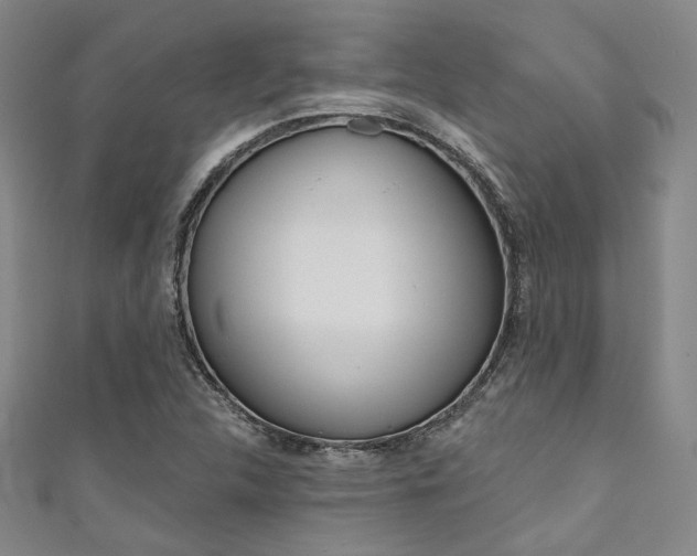 X0000111641312200907171030