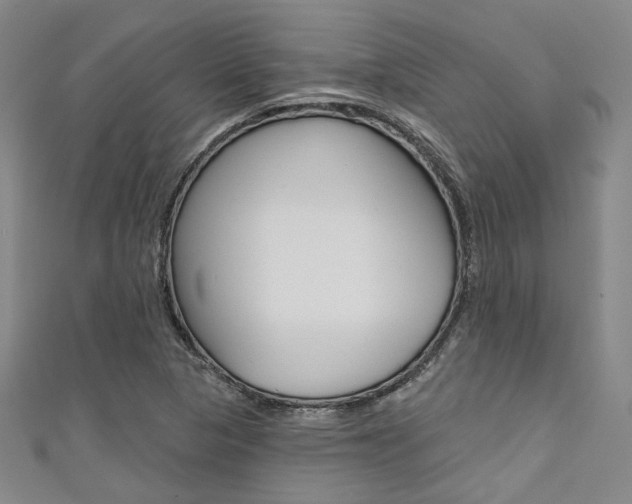 X0000111641313200907171030