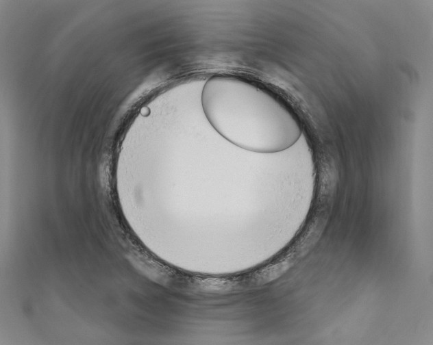 X0000111641314200907171030