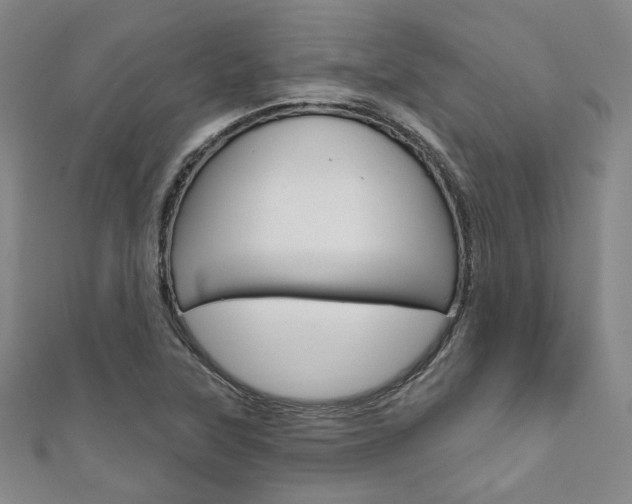 X0000111641315200907171030