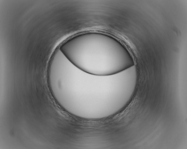 X0000111641316200907171030