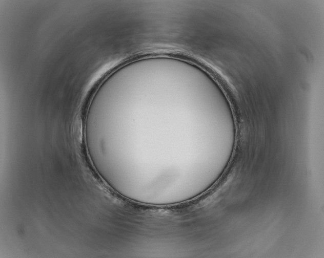 X0000111641317200907171030