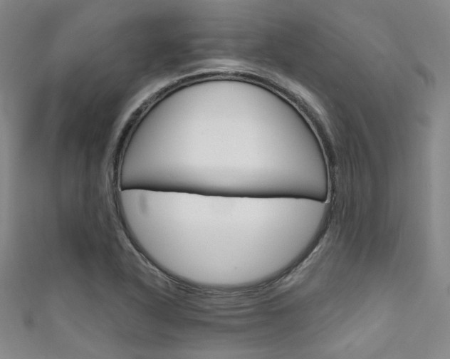 X0000111641318200907171030