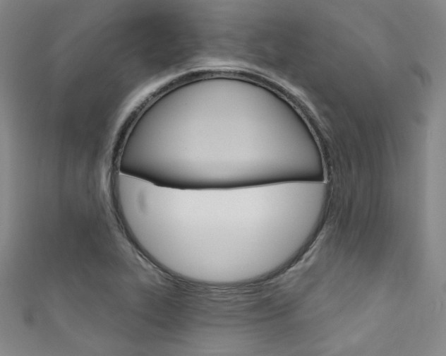 X0000111641319200907171030
