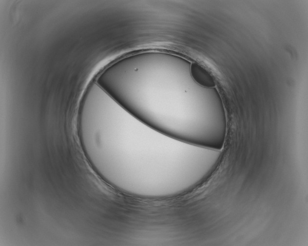 X0000111641324200907171030