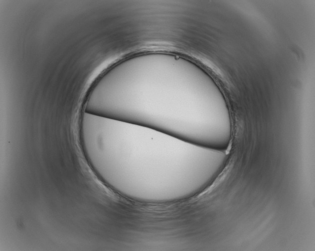 X0000111641325200907171030
