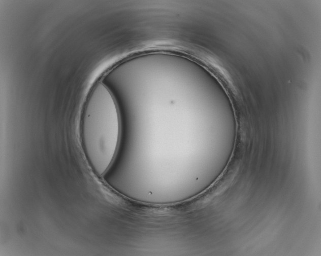 X0000111641328200907171030