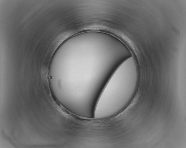 X0000111641329200907171030