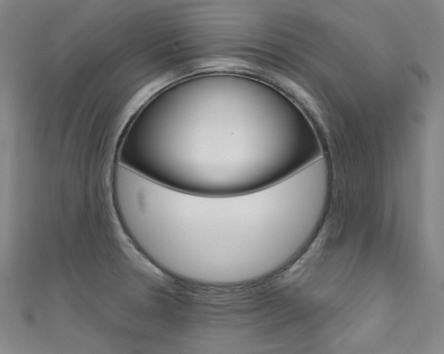 X0000111641330200907171030