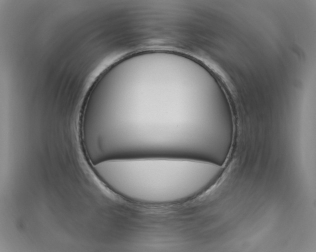 X0000111641333200907171030