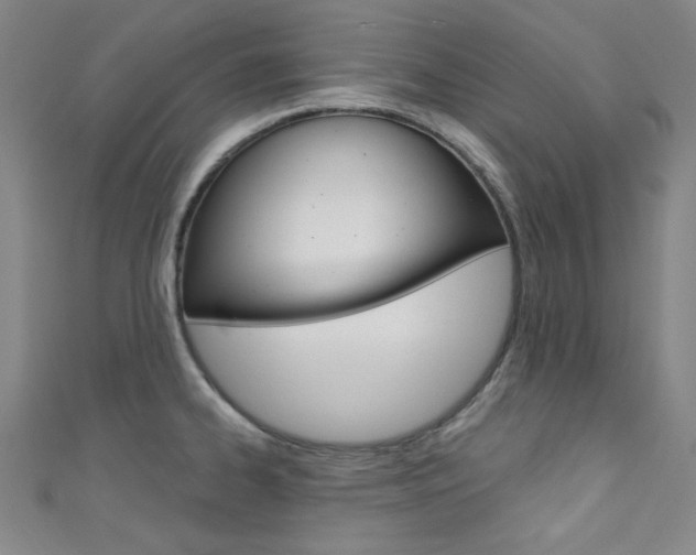 X0000111641334200907171030