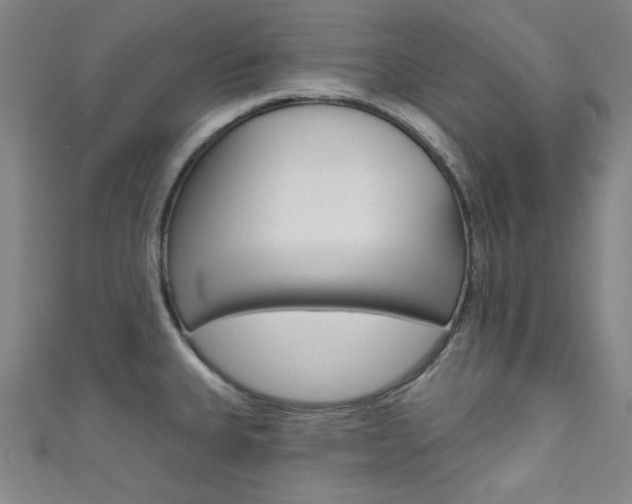 X0000111641335200907171030