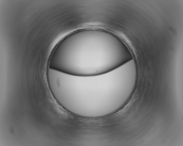 X0000111641336200907171030