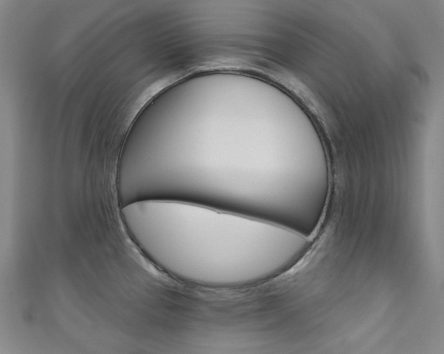 X0000111641337200907171030