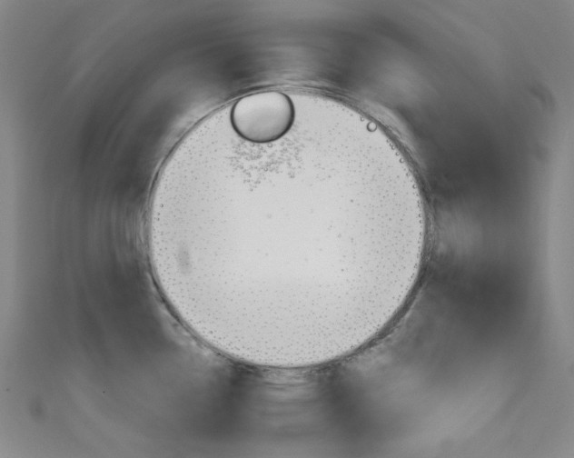 X0000111641338200907171030