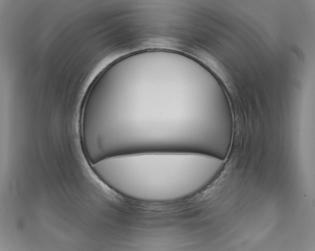 X0000111641339200907171030
