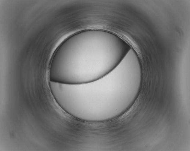 X0000111641340200907171030