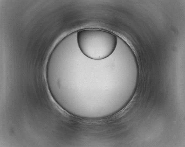 X0000111641342200907171030