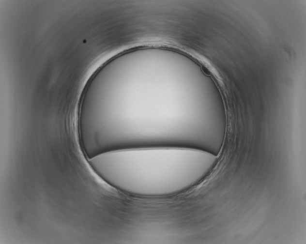 X0000111641343200907171030