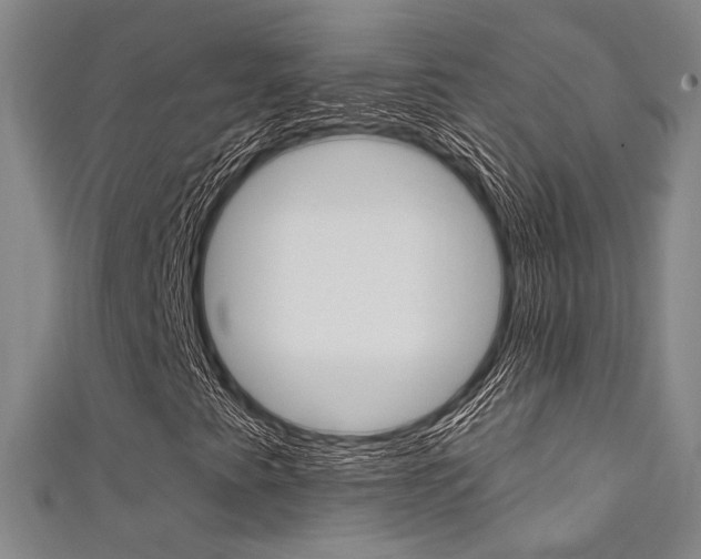 X0000111641345200907171030