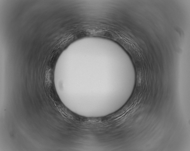 X0000111641346200907171030