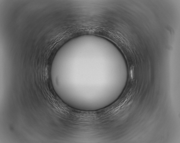X0000111641347200907171030