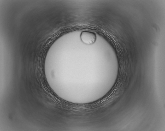 X0000111641349200907171030