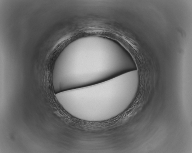 X0000111641351200907171030
