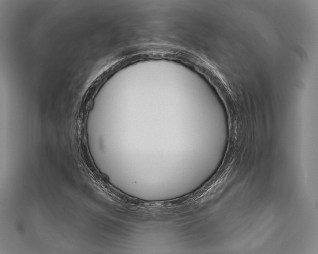 X0000111641352200907171030