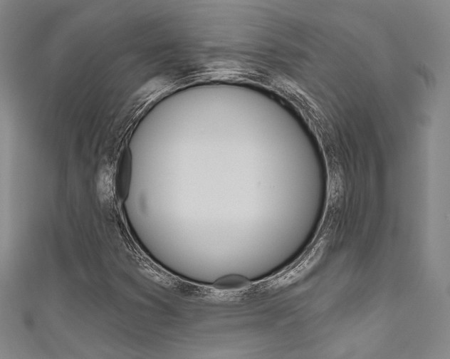 X0000111641353200907171030