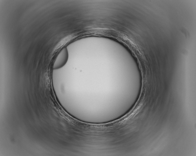 X0000111641354200907171030
