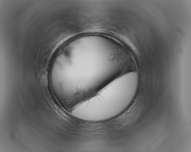 X0000111641356200907171030