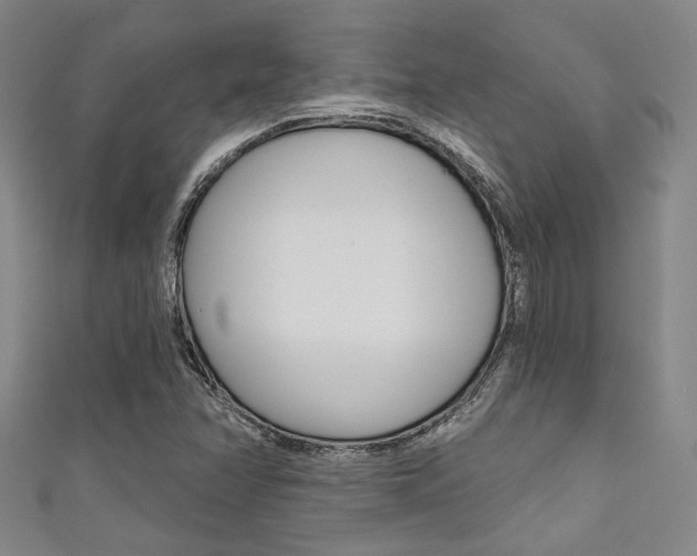 X0000111641358200907171030