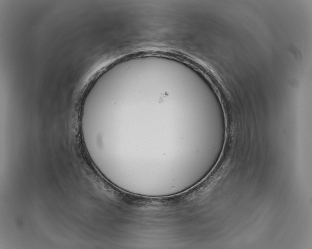 X0000111641359200907171030