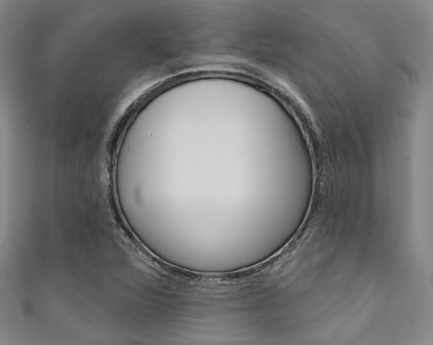 X0000111641360200907171030