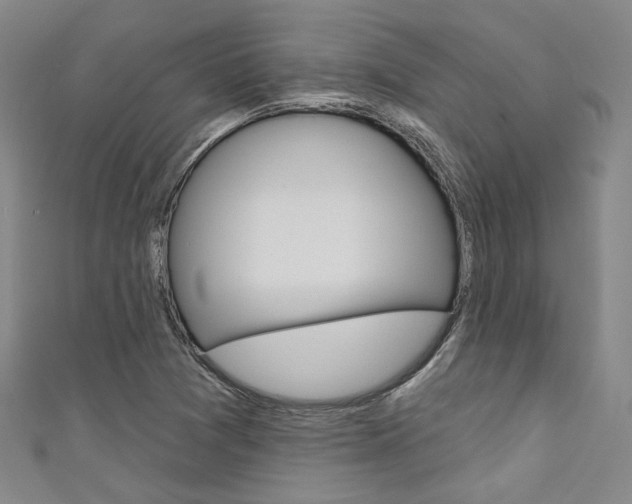 X0000111641361200907171030