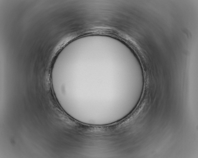 X0000111641362200907171030