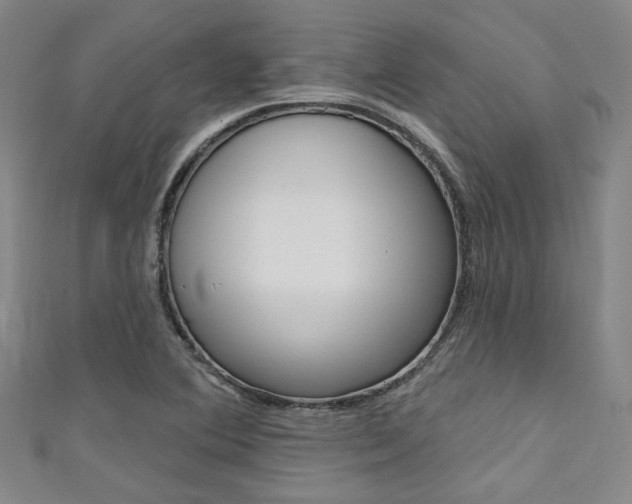 X0000111641364200907171030