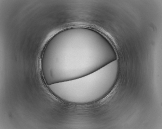 X0000111641365200907171030