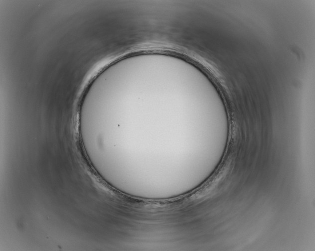 X0000111641366200907171030