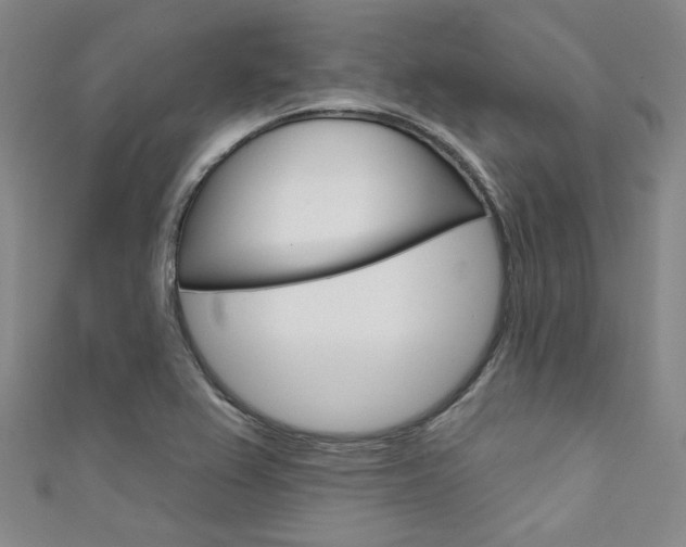 X0000111641367200907171030