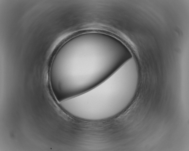 X0000111641368200907171030