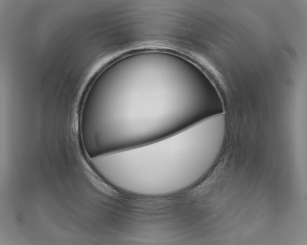 X0000111641372200907171029