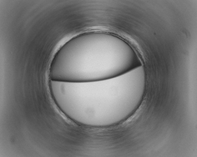 X0000111641373200907171029