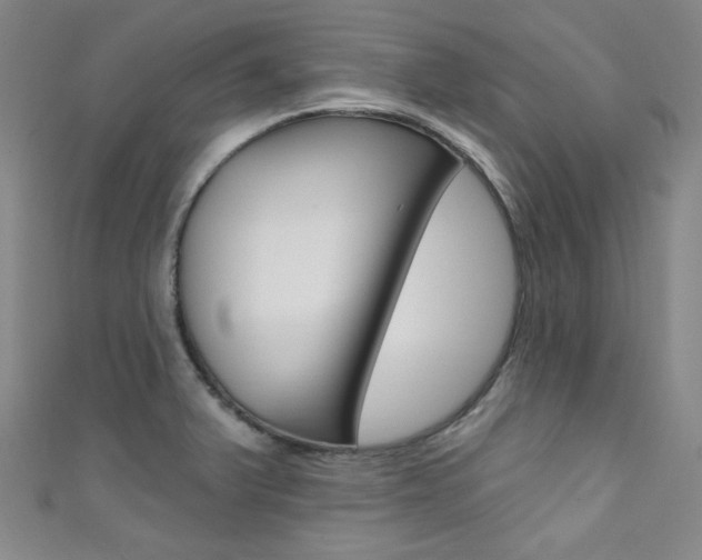 X0000111641375200907171029