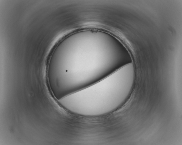 X0000111641376200907171029