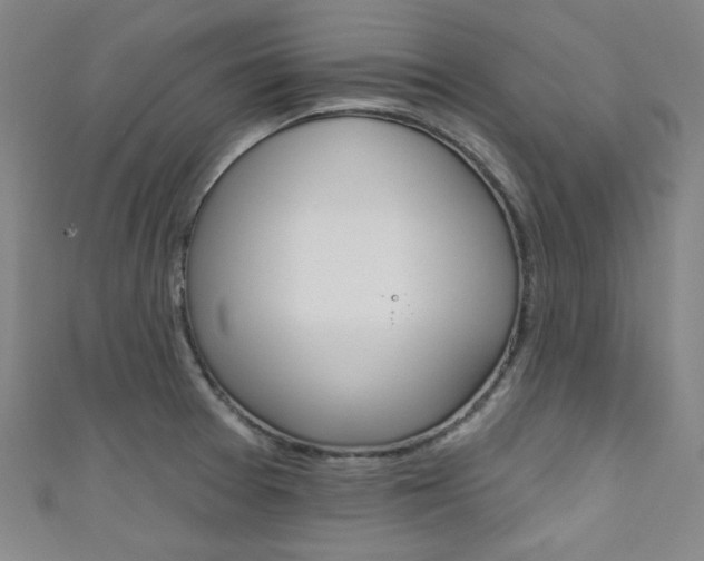 X0000111641377200907171029