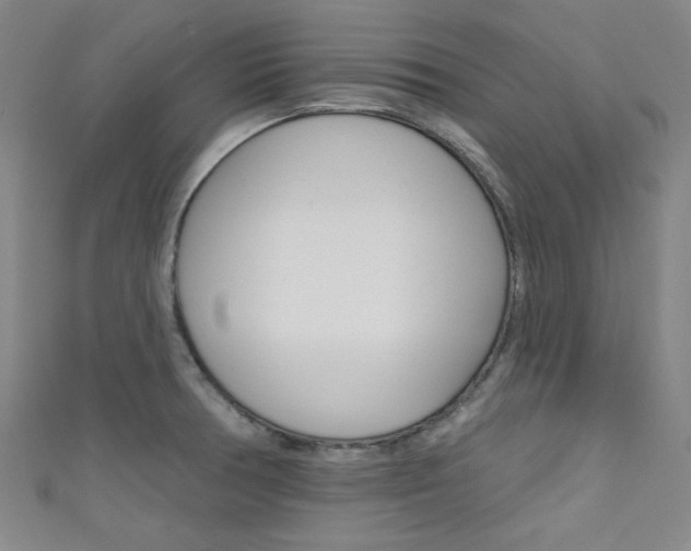 X0000111641378200907171029