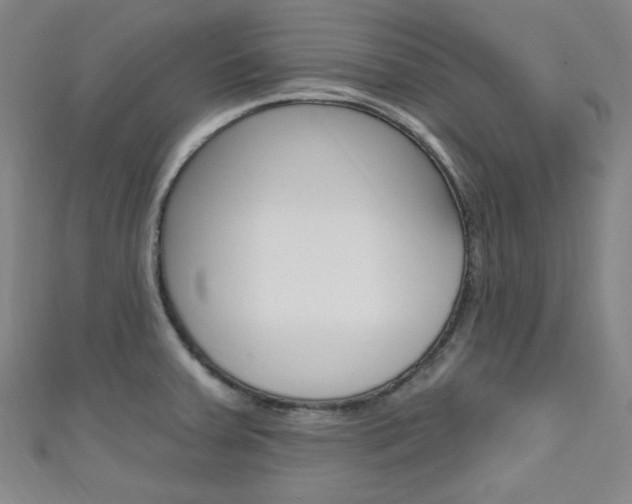 X0000111641379200907171029